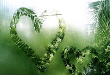 问鼎娱乐包含清晨辽宁本钢备战CBA季后赛；战术微调细节曝光；目标明确；轮换策略成焦点的词条